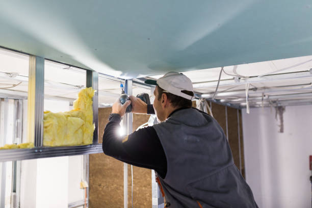 Best Energy Efficiency Solutions in Nanawale Estates, HI